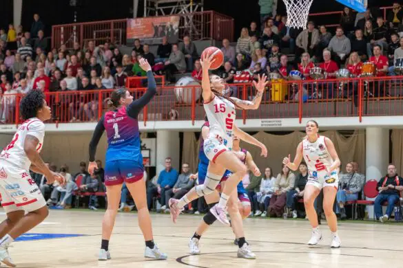 GiroLive-Panthers gegen Nördlingen