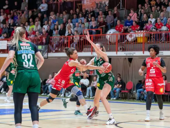 GiroLive Panthers Osnabrück vs. Rutronik Stars Keltern