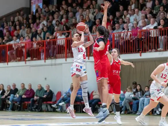 GiroLive-Panthers vs. TC Herne 1880. / Foto: Alexander Reinhard in Osnabrück (Gesamtstadt)