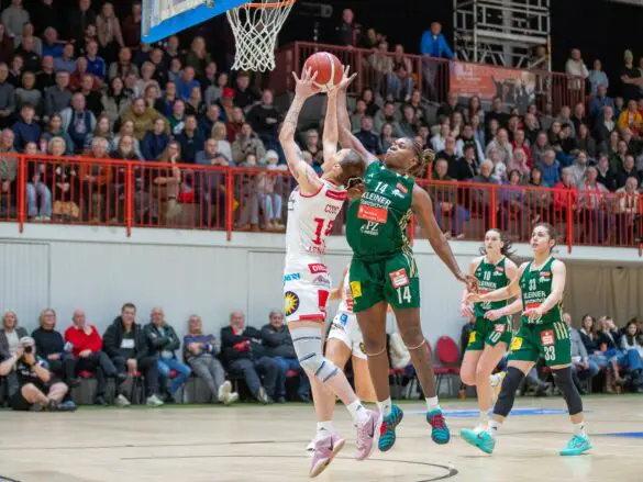 Panthers vs. Keltern in Osnabrück (Gesamtstadt)