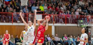 GiroLive Panthers vs. TK Luchse Hannover (2. Spiel der Playoffs)