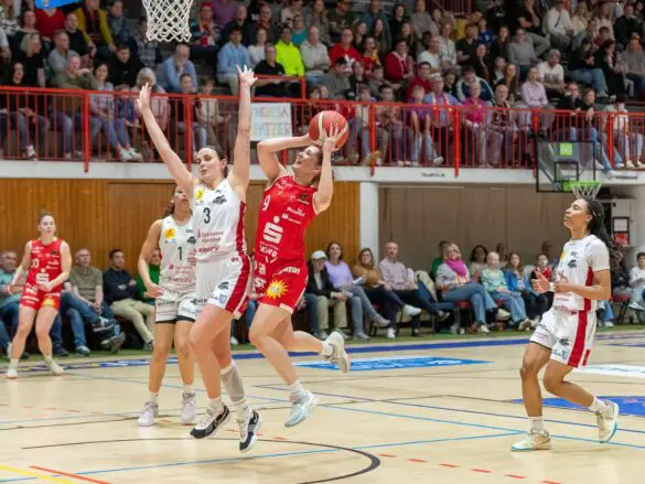 GiroLive Panthers vs. TK Luchse Hannover (2. Spiel der Playoffs)