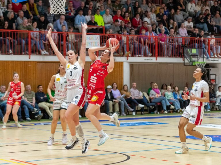 GiroLive Panthers vs. TK Luchse Hannover (2. Spiel der Playoffs)