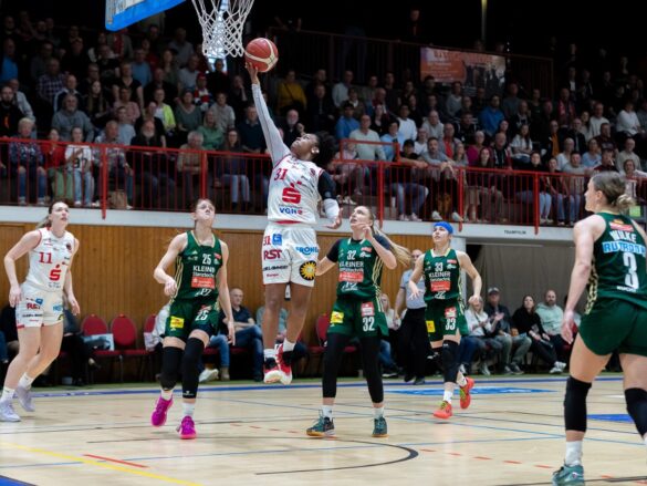 GiroLive Panthers Osnabrück vs. Rutronik Stars Keltern