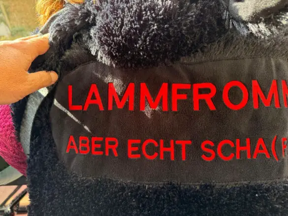 Ossensamstag 2025 / Foto: Christian Schäfer