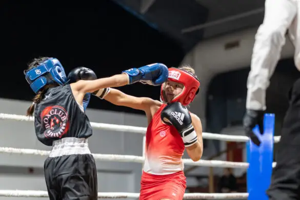 Osnabrück boxt 2024 Osnabrück boxt 2024