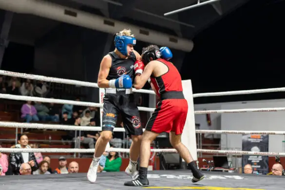 Osnabrück boxt 2024 Osnabrück boxt 2024