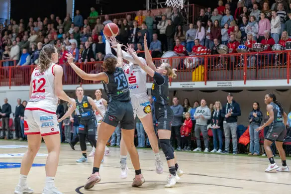 Panthers vs. Saarlouis Royals Panthers vs. Saarlouis Royals in Osnabrück (Gesamtstadt)