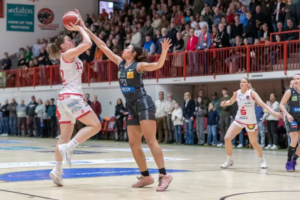 Panthers vs. Saarlouis Royals Panthers vs. Saarlouis Royals in Osnabrück (Gesamtstadt)