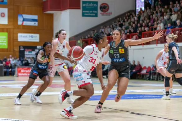 Panthers vs. Saarlouis Royals Panthers vs. Saarlouis Royals in Osnabrück (Gesamtstadt)