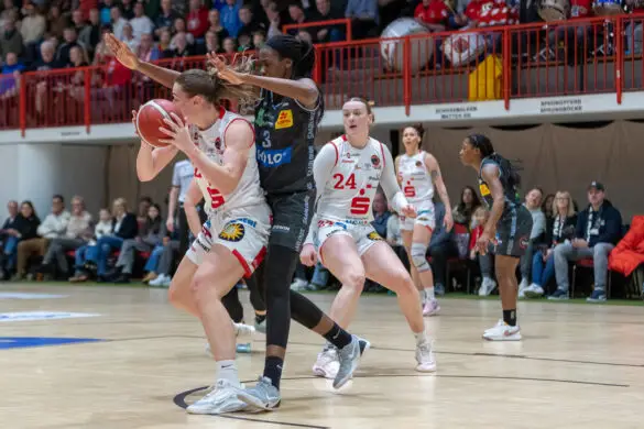 Panthers vs. Saarlouis Royals Panthers vs. Saarlouis Royals in Osnabrück (Gesamtstadt)