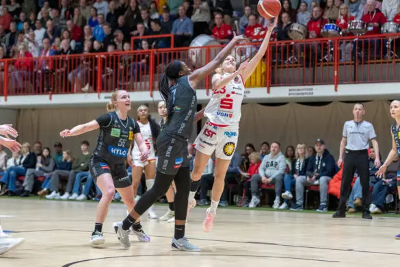 Panthers vs. Saarlouis Royals Panthers vs. Saarlouis Royals in Osnabrück (Gesamtstadt)