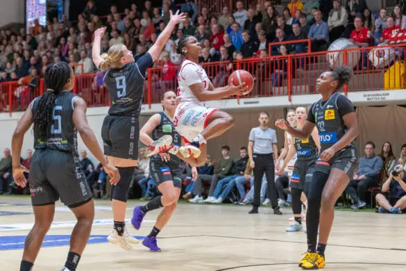 Panthers vs. Saarlouis Royals Panthers vs. Saarlouis Royals in Osnabrück (Gesamtstadt)