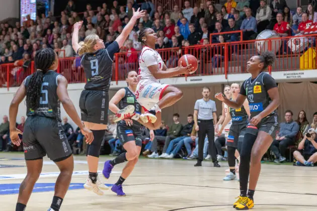 Panthers vs. Saarlouis Royals in Osnabrück (Gesamtstadt)