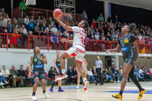 Panthers vs. Saarlouis Royals Panthers vs. Saarlouis Royals in Osnabrück (Gesamtstadt)