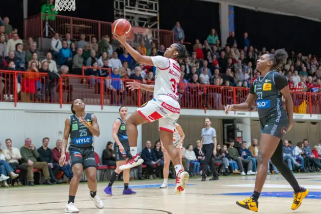 Panthers vs. Saarlouis Royals in Osnabrück (Gesamtstadt)