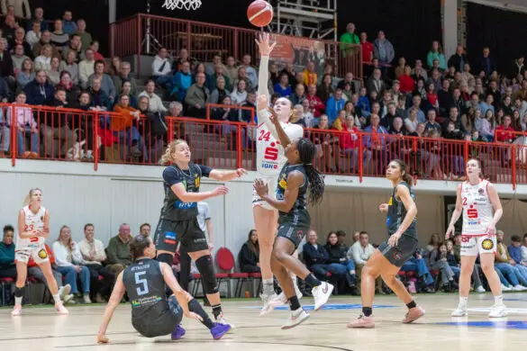 Panthers vs. Saarlouis Royals Panthers vs. Saarlouis Royals in Osnabrück (Gesamtstadt)