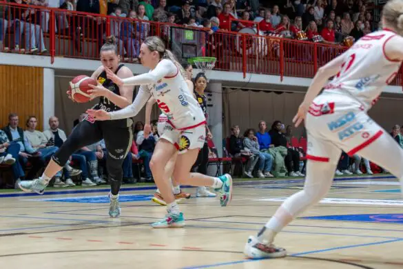 Panthers Osnabrück schlagen Hannover/ Foto: Alexander Reinhard