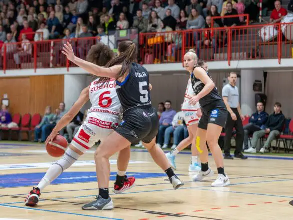 GiroLive Panthers vs. Eigner Angels Nördlingen