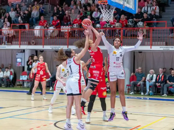 GiroLive Panthers vs. TK Luchse Hannover (2. Spiel der Playoffs)