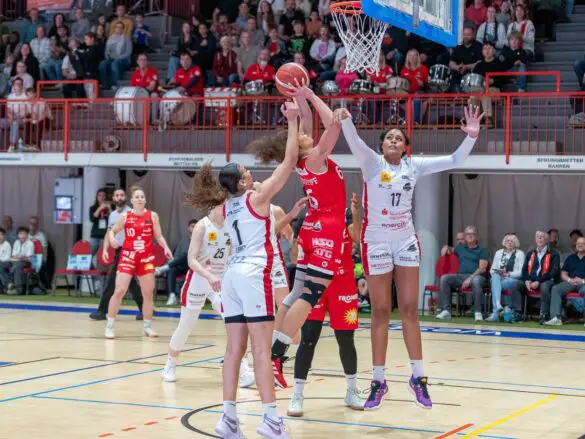 GiroLive Panthers vs. TK Luchse Hannover (2. Spiel der Playoffs)