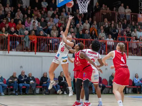 GiroLive-Panthers vs. TC Herne 1880. / Foto: Alexander Reinhard in Osnabrück (Gesamtstadt)