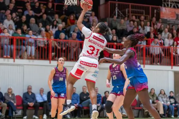 GiroLive-Panthers gegen Nördlingen