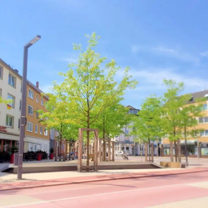 Rosenplatz Osnabrück