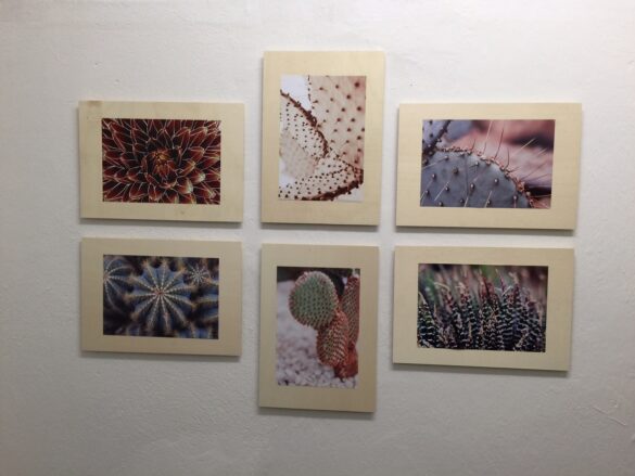 1. Petersburger Hängung