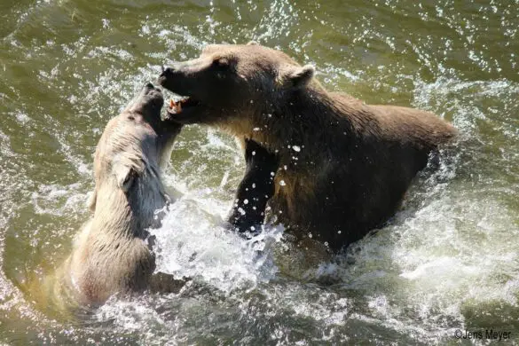 Schattiges Osnabrück – wo gibt es das?