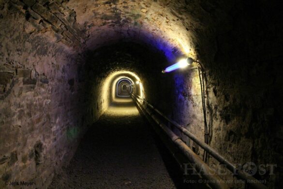 Schattiges Osnabrück – wo gibt es das?