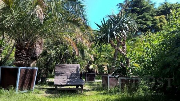 Schattiges Osnabrück – wo gibt es das?