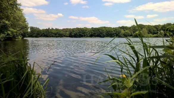 Schattiges Osnabrück – wo gibt es das?