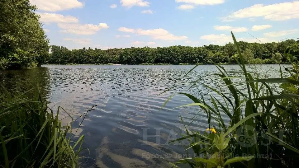 IMG_1015 Schattiges Osnabrück – wo gibt es das?