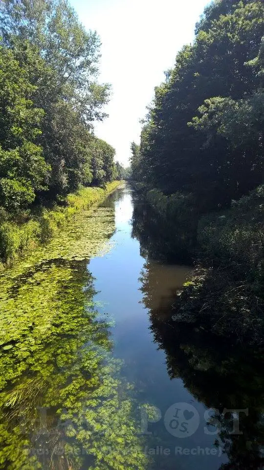 IMG_1018 Schattiges Osnabrück – wo gibt es das?