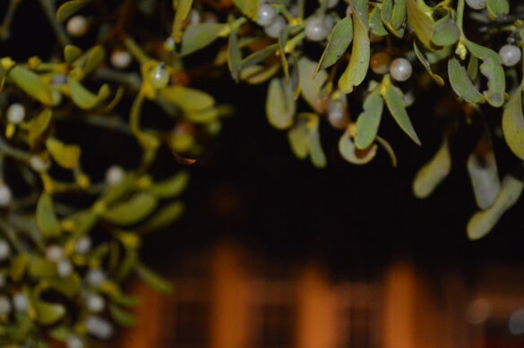 So (wenig) voll wird der Osnabrücker Weihnachtsmarkt nicht mehr!