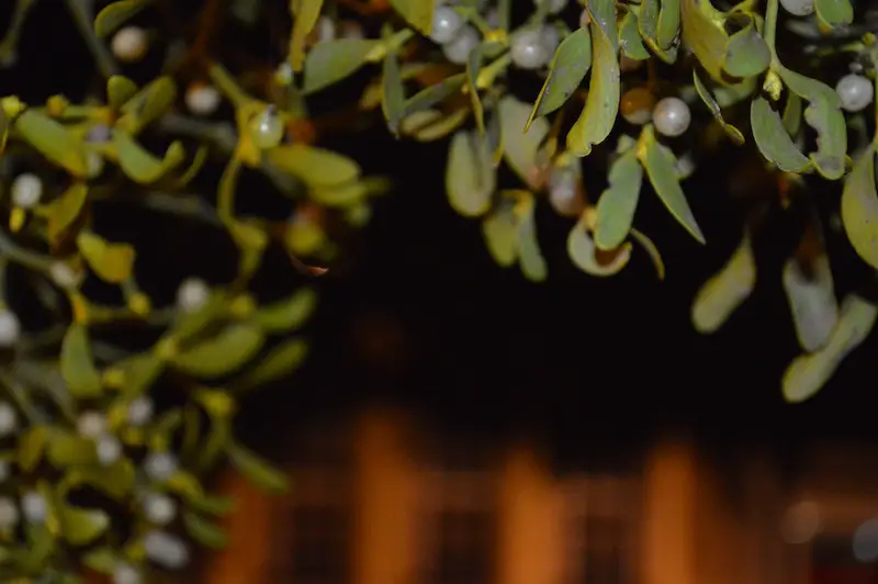 DSC_1805 So (wenig) voll wird der Osnabrücker Weihnachtsmarkt nicht mehr!