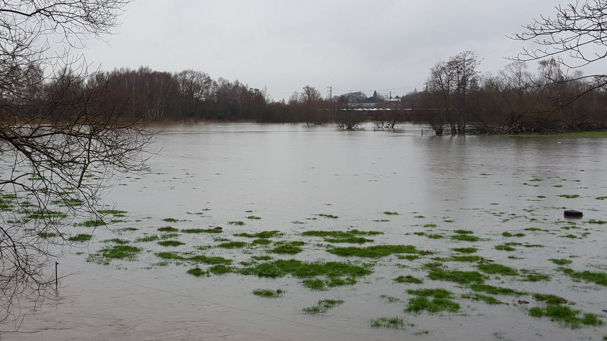 12752100_1645853895677605_1374996285_o Hase bei Lüstringen