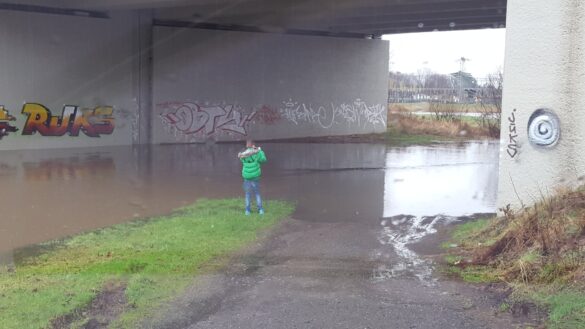 12755059_1645853639010964_1592487317_o Hase bei Lüstringen