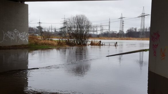 12765814_1645853662344295_775988343_o Hase bei Lüstringen