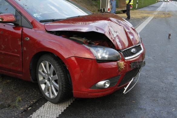Unfall mit Zuchtkuh auf der A33