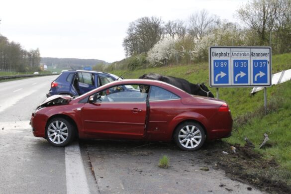 Unfall mit Zuchtkuh auf der A33