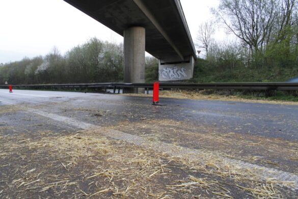 Unfall mit Zuchtkuh auf der A33