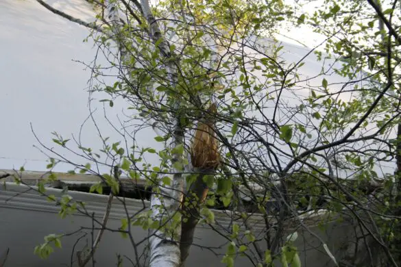 Verletzte nach Unfall mit einem LKW auf der A30