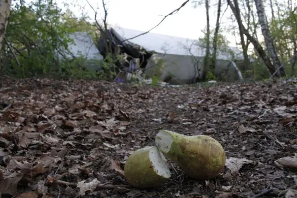 Verletzte nach Unfall mit einem LKW auf der A30