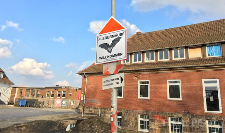 Fledermäuse Güterbahnhof Osnabrück
