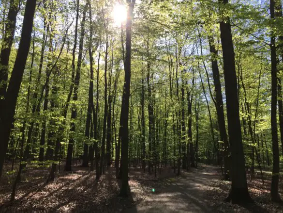 IMG_9178 Vatertag 2016 am Rubbenbruchsee, Osnabrück