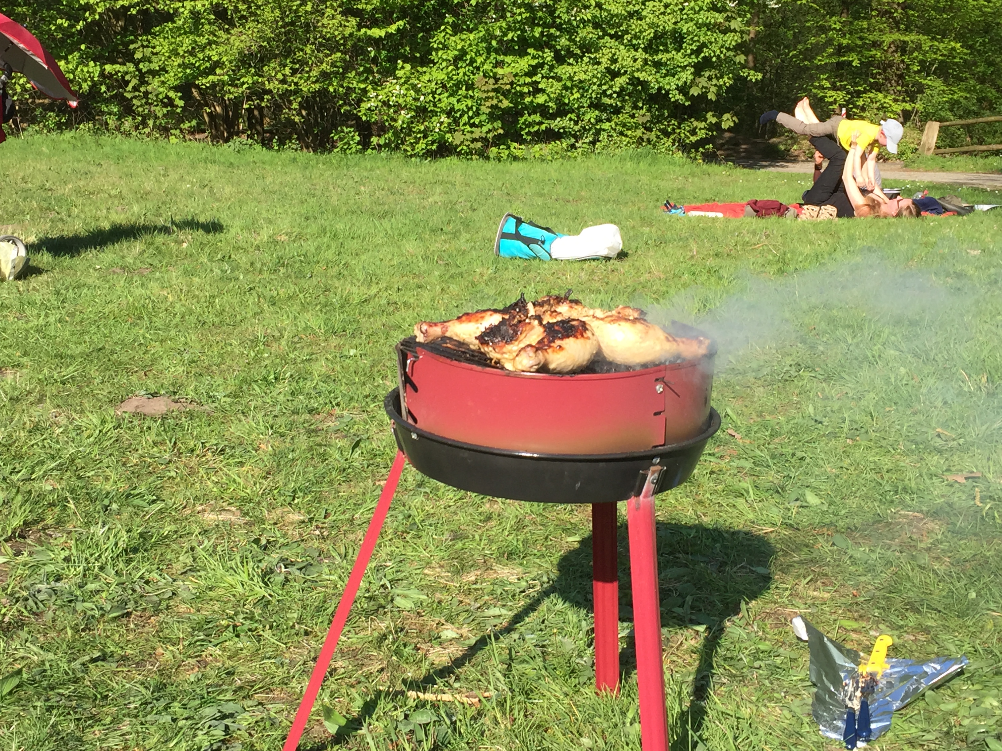 IMG_9189 Vatertag 2016 am Rubbenbruchsee, Osnabrück