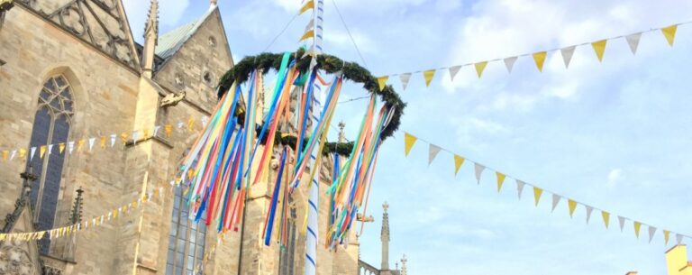 Maibaum, Maiwoche Osnabrück
