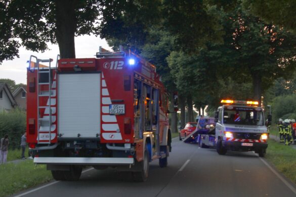 Bad Iburg: PKW knallt bei Navi-Bedienung gegen Baum